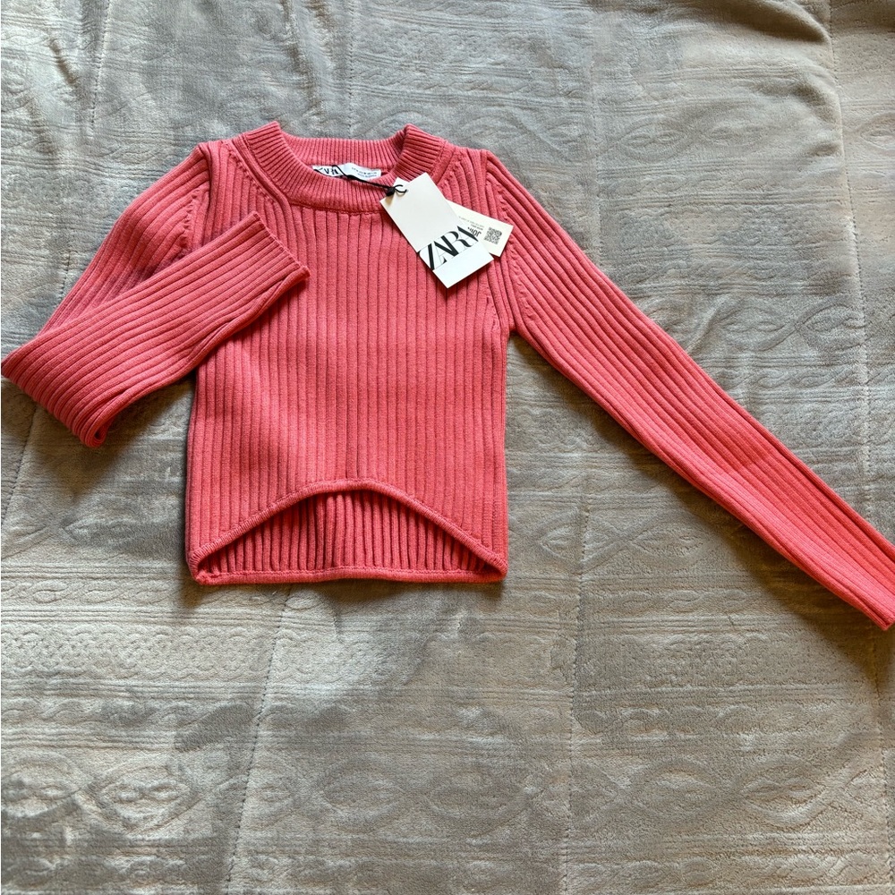 Zara sweater